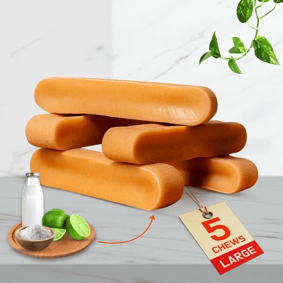 Mount Tibet Himalayan Cheese Chews for Dogs, Large 1lb (Pack of 5)