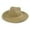 Brown, variant on Summer Straw Fedora Hat For Women Men Travel Panama Hat Wide Brim Outdoor Beige