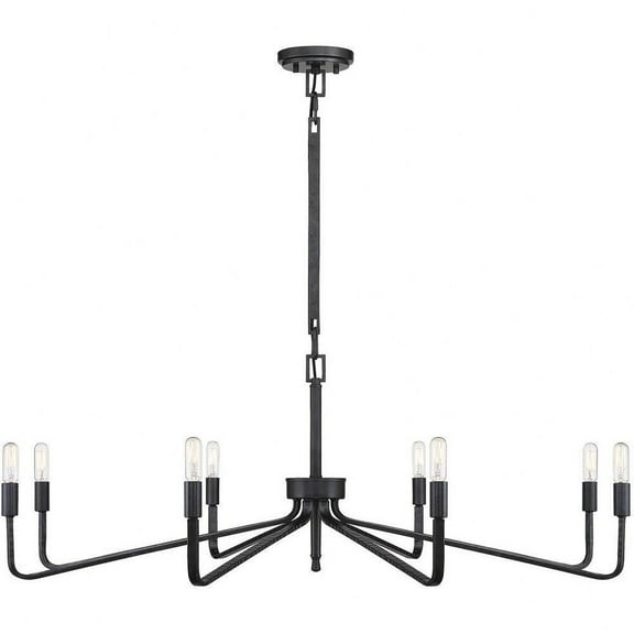Contemporary Eight Light Chandelier in Forged Iron Finish Bailey Street Home 159-Bel-4487529