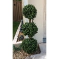 thumbnail image 2 of Two 56 Inch Artificial Boxwood Triple Ball Trees Potted, 2 of 2