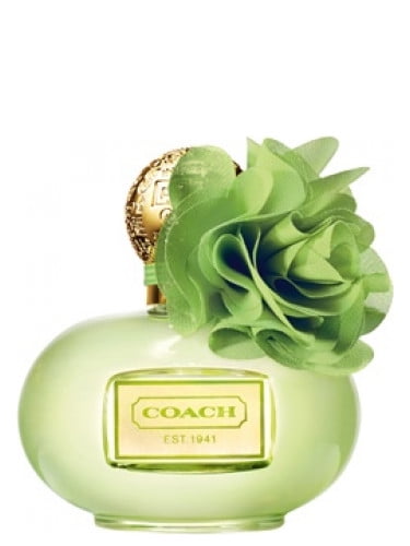 coach floral perfume walmart
