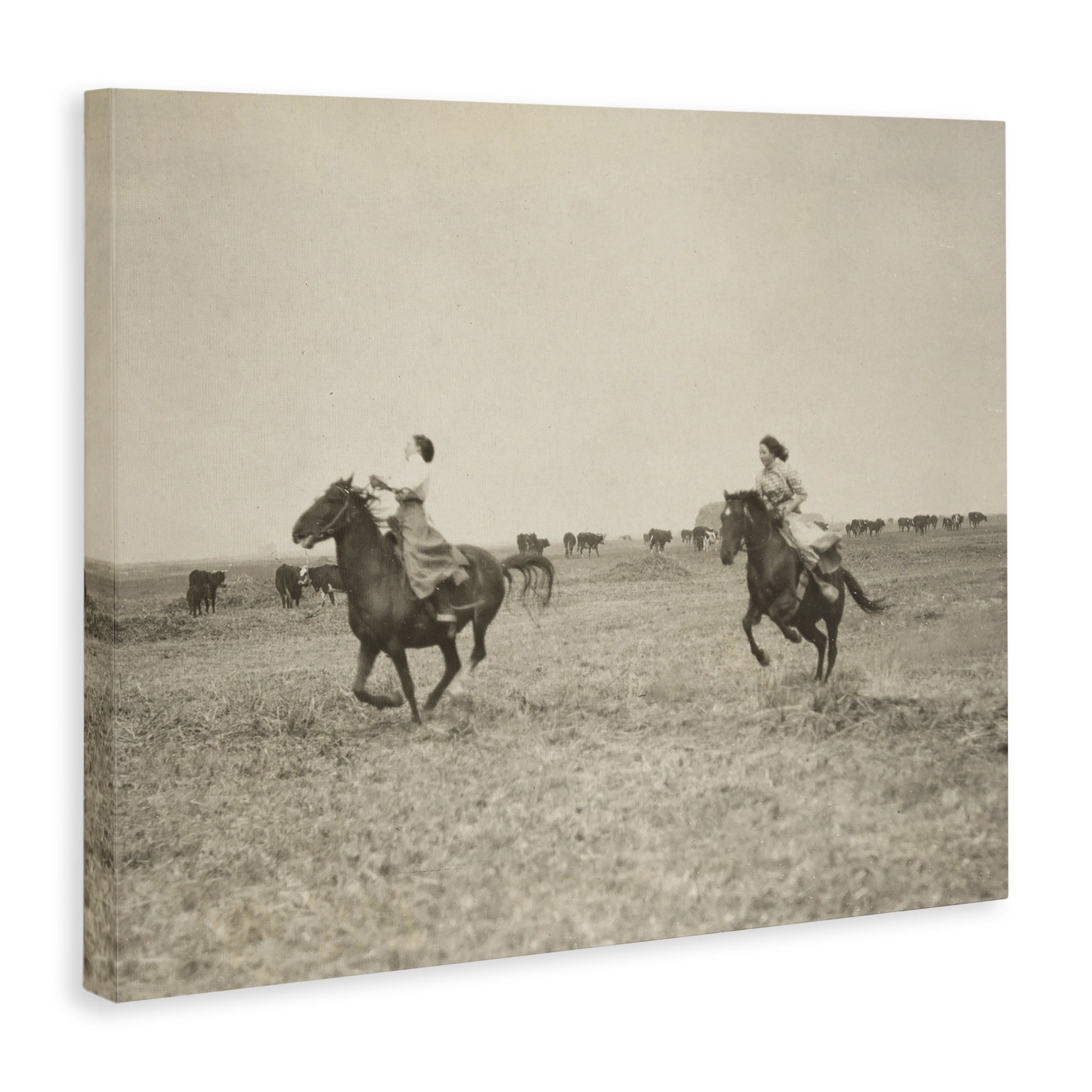 Stupell Industries Galloping Cowgirl Friends Animals Photography Wrapped Canvas Art Print Wall Art, 40 x 30