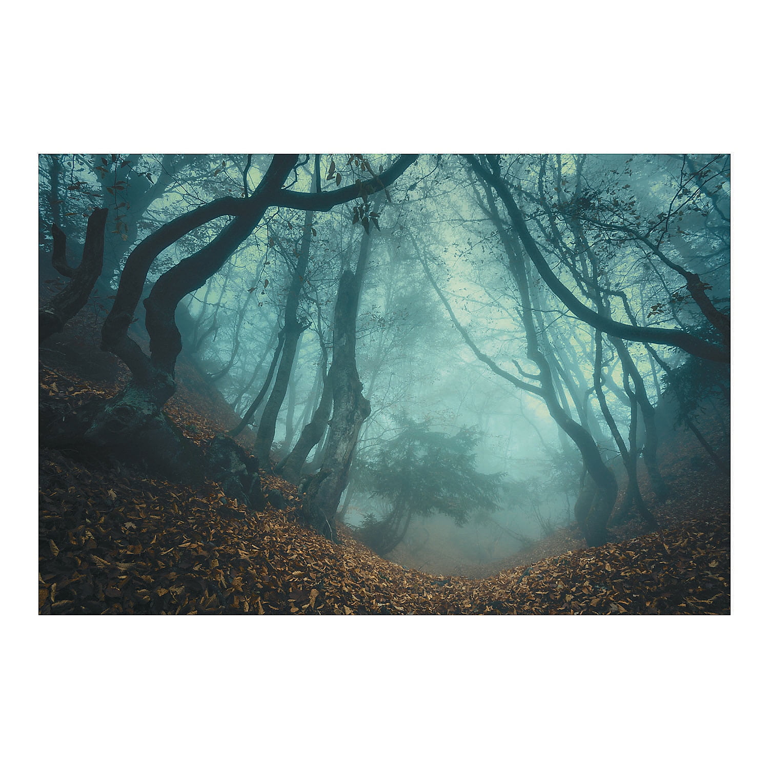 Halloween Haunted Forest Backdrop Banner - Party Decor - 3 Pieces ...
