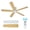 Ceiling mount white, variant on CazToi 52-Inch Modern Ceiling Fan with Dimmable LED Light and Remote, 5-Blade, 6-Speed, Downrod Mount,