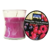 Citi-Lites 2.5 Ounce Lilac Blossom Jar Apothecary 103646
