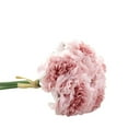 thumbnail image 2 of Flmtop 5Pcs Faux Flower Vivid Multipurpose Decorative Silk Cloth Peony Flower for Birthday, 2 of 8