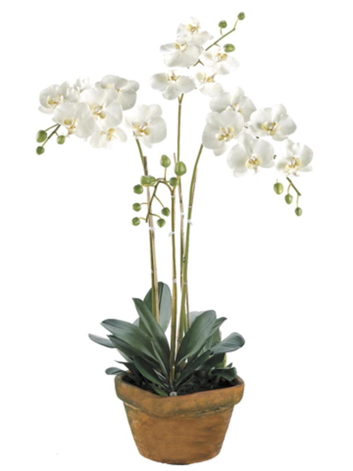 30" Potted Artificial White Phalaenopsis Orchid Plant Silk Flower Arrangement