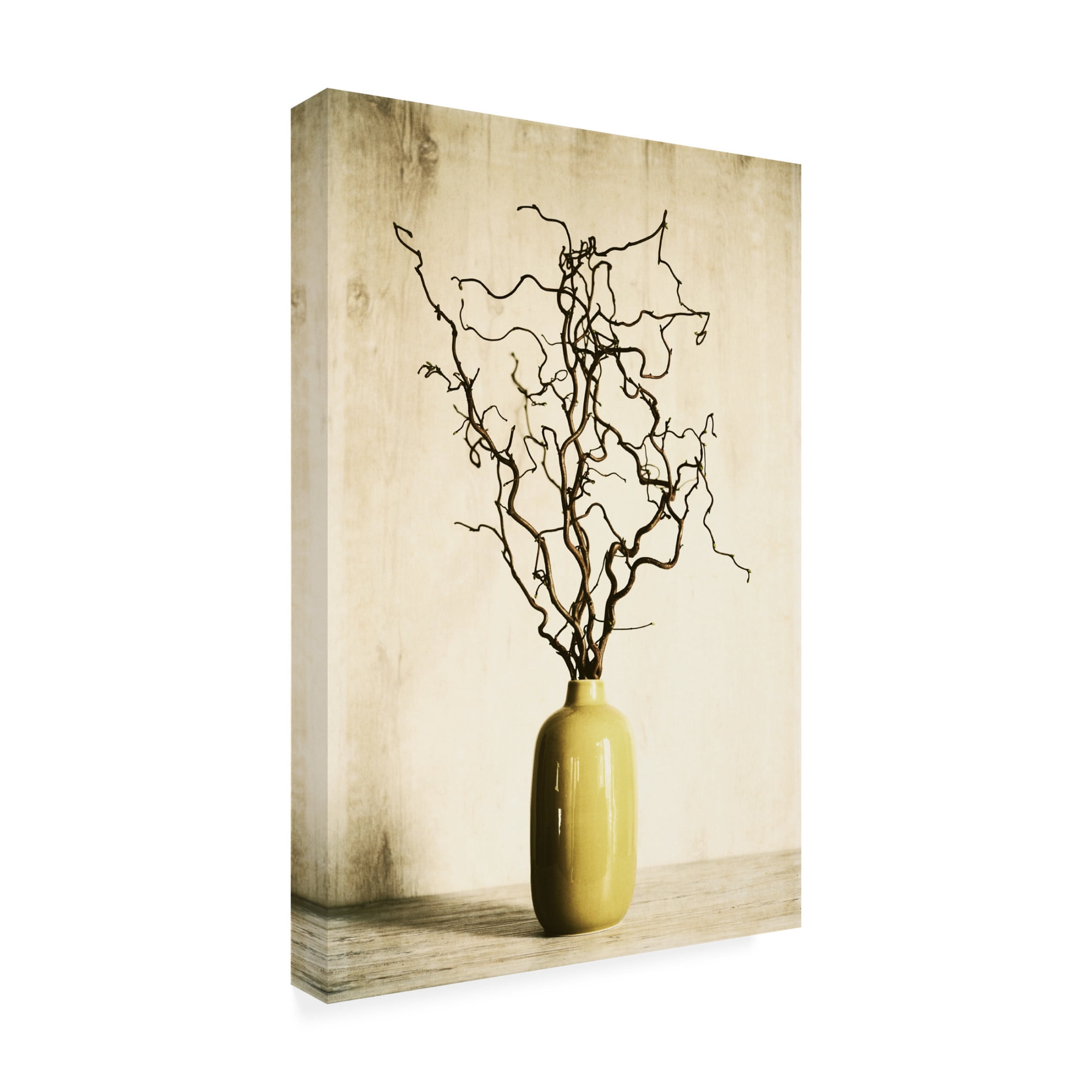 Canvas Wall Art - Tom Quartermaine 'Twigs in Yellow Vintage Style' Wall Art for Living Room, Bedroom, or Office Décor by Trademark Fine Art - 12 x 19 Inches