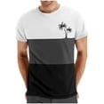 thumbnail image 1 of Mens Casual Pantalones Cortos Cuello Redondo Patchwork Impresión Suéter Blusa de Fitness, Camisetas para Hombre, 1 of 4