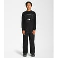 thumbnail image 1 of The North Face Teen Freedom Insulated Bib Pant - Youth, 1 of 12