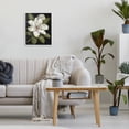 thumbnail image 3 of Stupell Industries Traditional Budding Magnolia Blooms White Framed Giclee Art, 11 x 14, by Nan, 3 of 8