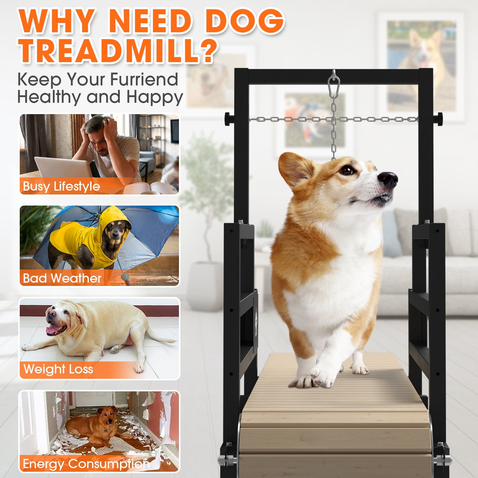 Dog Treadmill - Why would a dog need a treadmill?