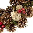 thumbnail image 3 of Northlight 12.5" Unlit Natural Pine Cone and Fruit Glitter Artificial Christmas Wreath, 3 of 5