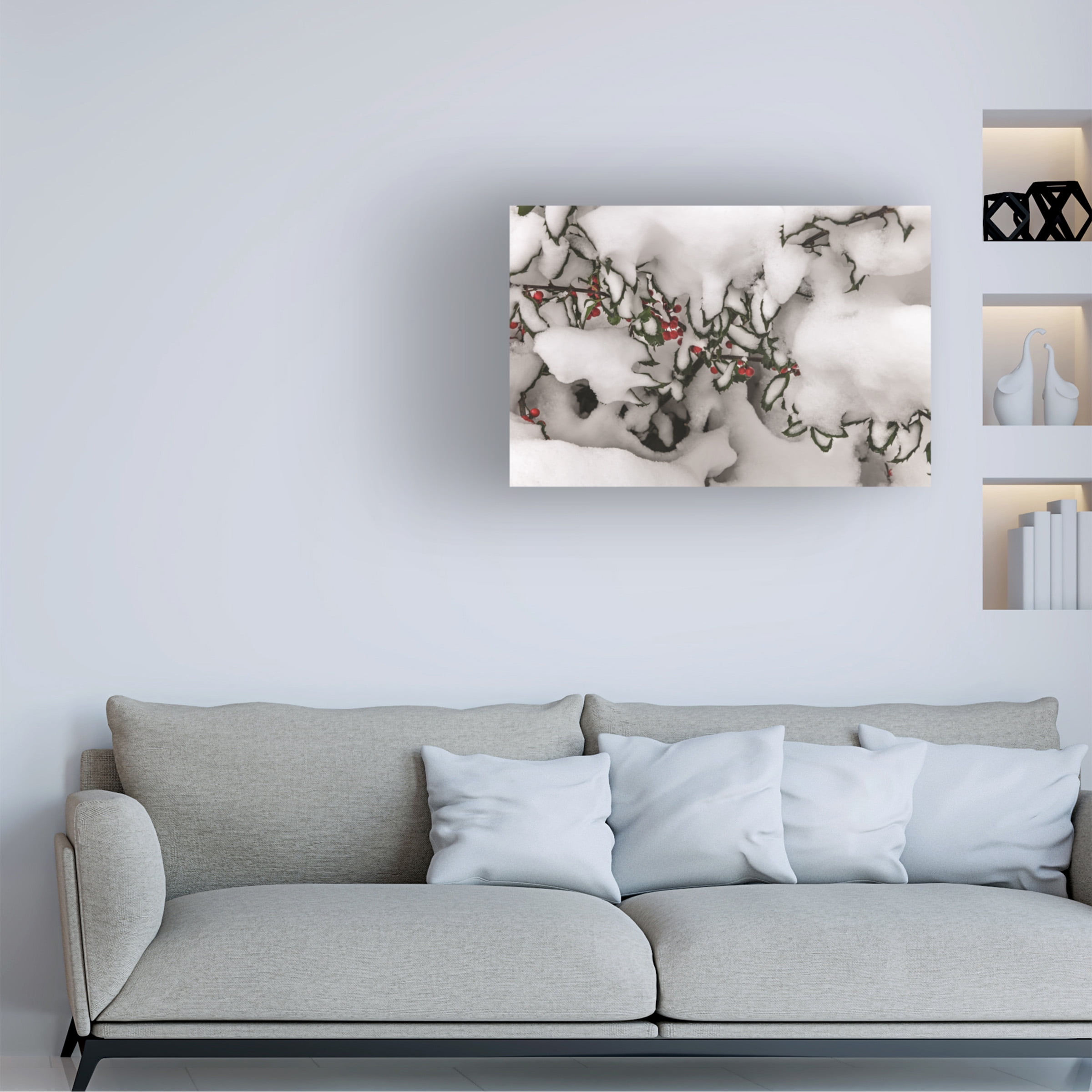 Kurt Shaffer Photographs 'Snow Holly' Canvas Art