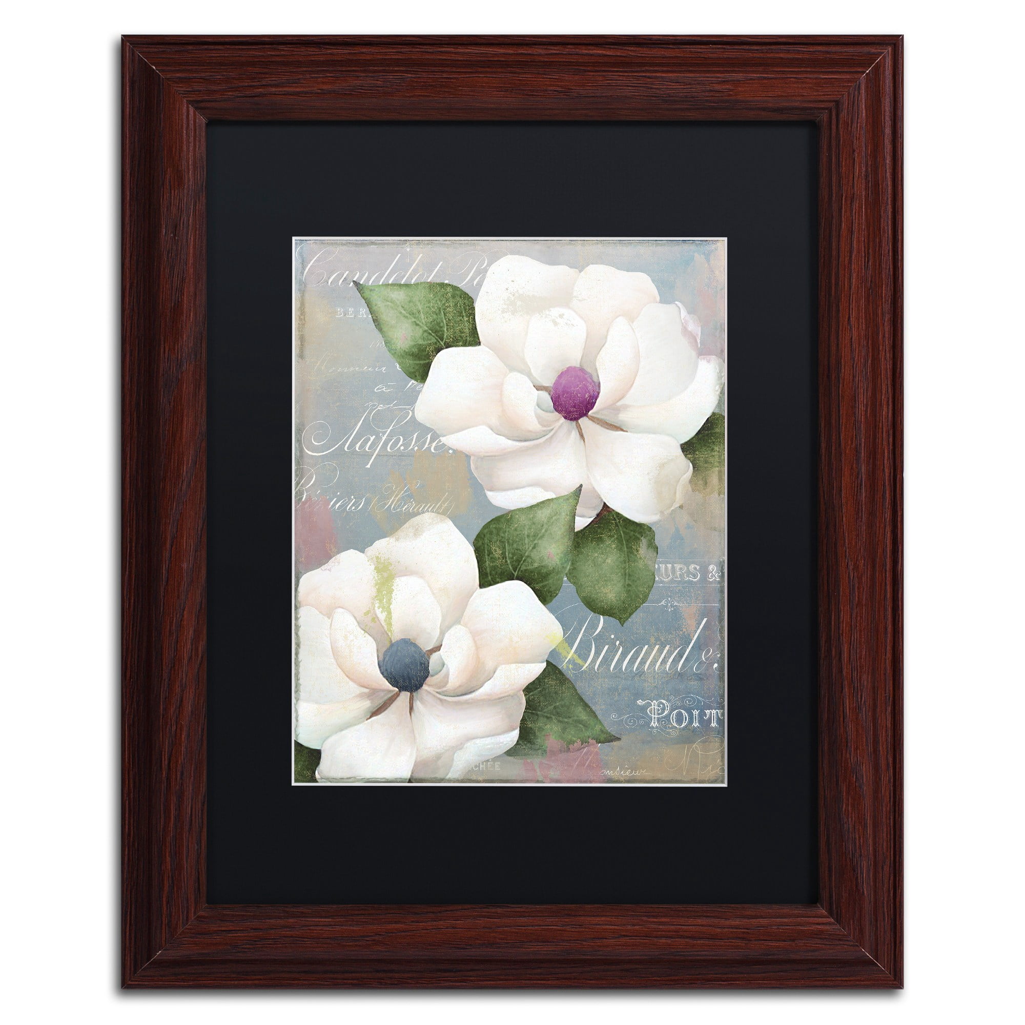 Trademark Fine Art "Southern Charms" Canvas Art by Color Bakery Black Matte, Wood Frame