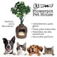 thumbnail image 3 of KE WOOW Maceta con Cama y/o Arenero Oculto para Gatos, Perros y otras Mascotas, Color Café KE WOOW Casa arenero maceta, 3 of 10