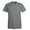 Vintage Grey, variant on Hanes - Perfect-T T-Shirt - 4980