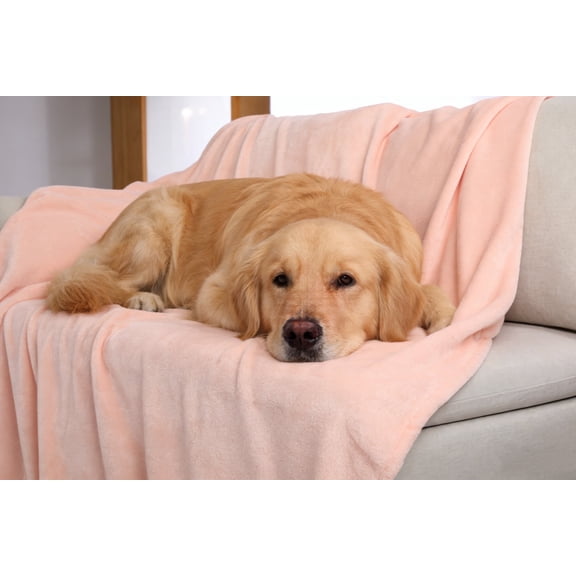 Dog Blanket Washable 150 x 200 cm Nude Pink Flannel Pet Blanket Soft Cozy Throw for Large Dogs Cat Puppy for Bed Sofa Crate Car