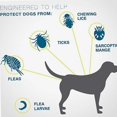 thumbnail image 3 of Typpkmm Adjustable Silicone Collar for Dogs and Cats Effective for 8, 3 of 7