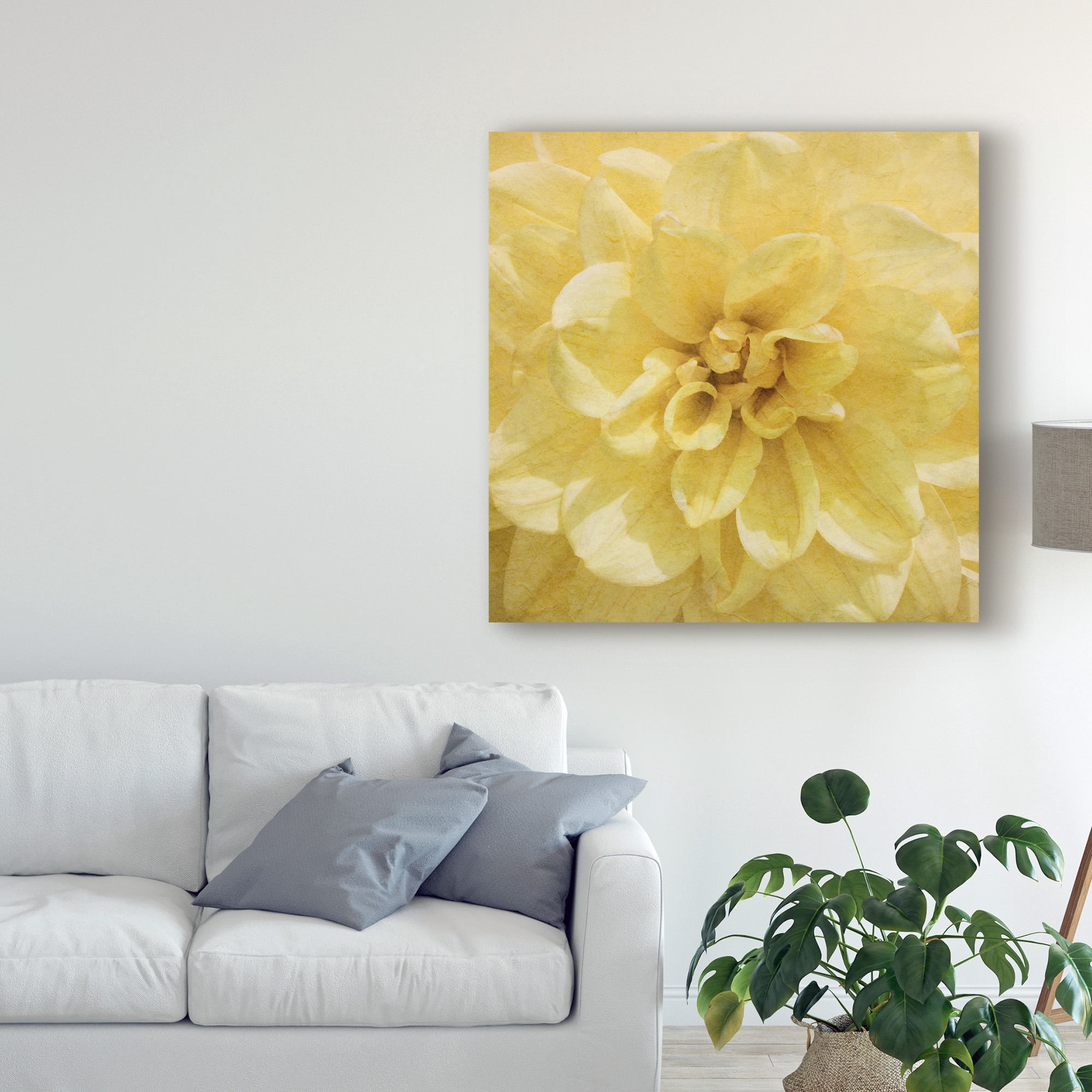 Trademark Fine Art 'Wall Flower II' Canvas Art by Alonzo Saunders