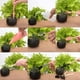 thumbnail image 2 of 16 piezas Mini herramientas de jardín Herramienta de plantación Plantas herbáceas Herramientas de jardinería Planta crasulácea Tanque de plástico para trasplantar plantas suculentas Rosa TUNC Sencillez, 2 of 3