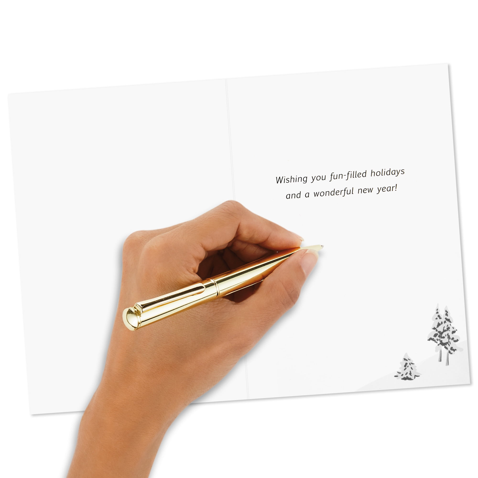 Boîte de cartes de Noël, Image Arts, patin à glace sous l'aurore boréale (paquet de 28 cartes et enveloppes)