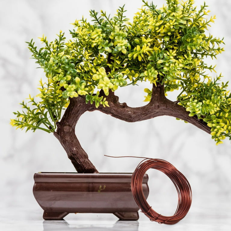 Masteelf 1 Set of Bonsai Wire Kit Plant Training Wire Garden Bonsai Tree  Training Wires - Walmart.com