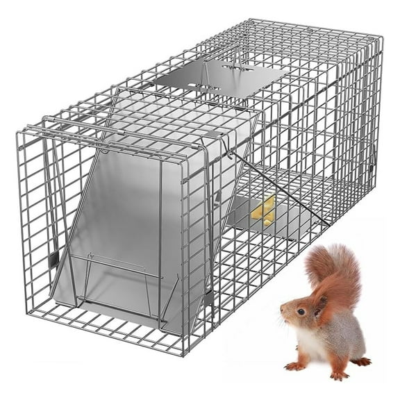 AIZYT Live Animal Trap 32inch Catch Release Humane Rodent Cage for Raccoon, Rabbit, Groundhog, Stray Cat, Squirrel, Mole, Gopher, Chicken, Opossum, Skunk & Chipmunks Nuisance Rodents
