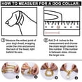 thumbnail image 4 of Gold Dog Chain Collar 10MM Choke Collar Stainless Steel Metal Collars Silp Choker Chain for Small Medium Dogs (12inch), 4 of 7