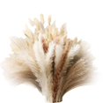 thumbnail image 1 of 120 piezas de pampas secas para el hogar R, Ornt, bodas, etc., 1 of 3