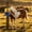#61Yellow, variant on Half Round Cow Body Brush for Livestock, Rotating Scratch Brush with 360° Semi Enclosed Design, Waterproof Wear Resistant Post Mounting for Cattle Horse Goats Sheep