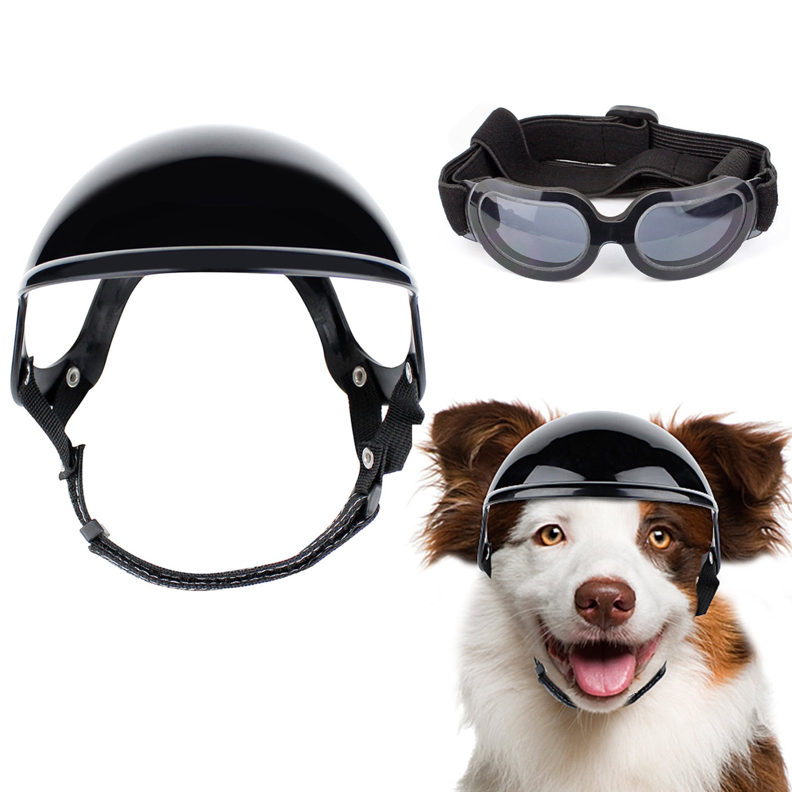 Dog with helmet and goggles hot sale