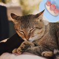 thumbnail image 3 of 3pcs Cat Comb Pet Cat Hair Removal Massaging Comb Grooming and Shedding Comb for Pet, 3 of 9