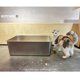 thumbnail image 4 of Caja de arena para gatos IKITCHEN de acero inoxidable, grande, 60 x 40 x 20 cm, 4 of 9