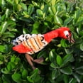 thumbnail image 4 of Flmtop Mini Pet Dog Puppy Squeak Plush Bird Stuffing Free Interactive Play Bite Toy Red, 4 of 8