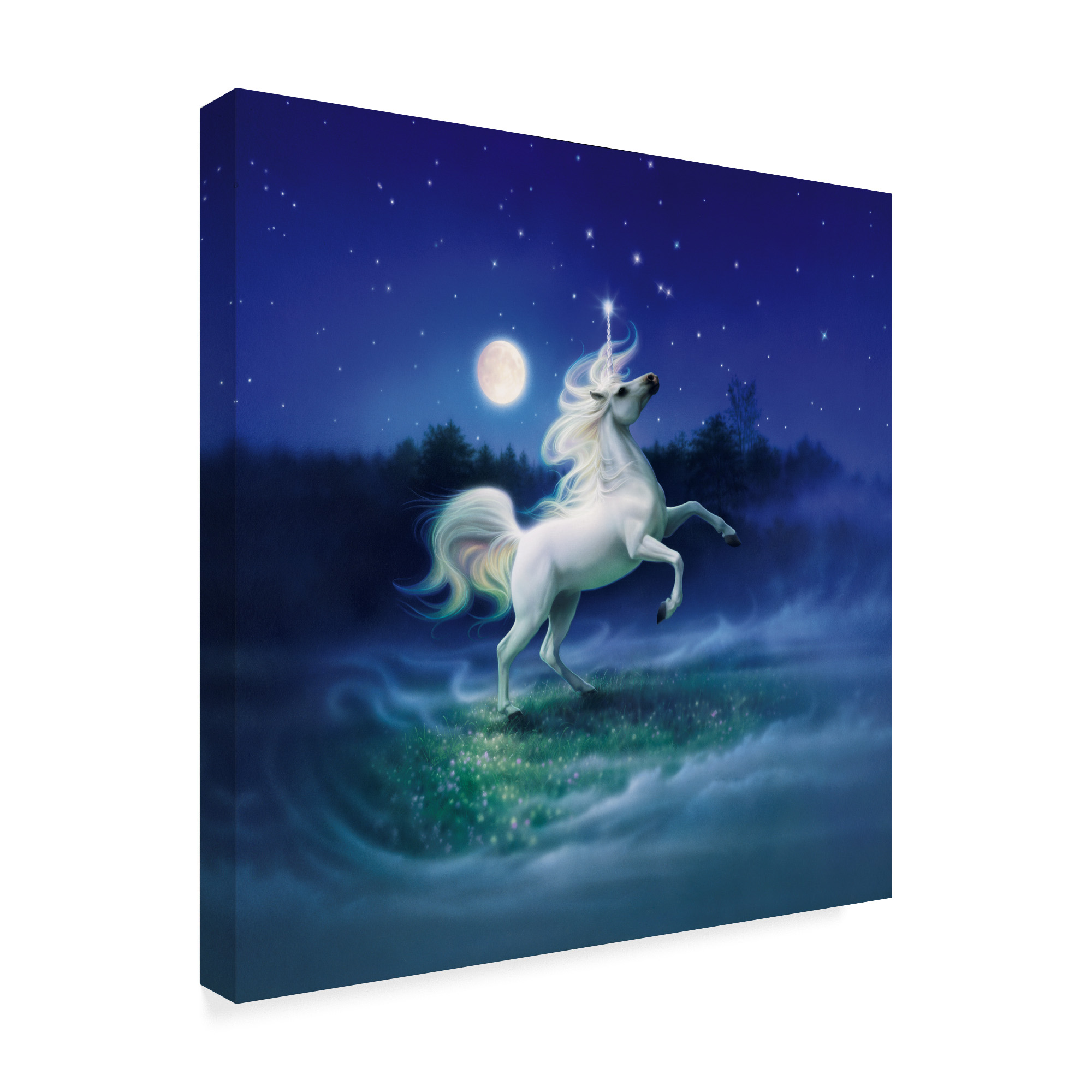 Trademark Fine Art 'Frolicking Unicorn' Canvas Art by Kirk Reinert