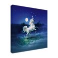 thumbnail image 2 of Trademark Fine Art 'Frolicking Unicorn' Canvas Art by Kirk Reinert, 2 of 3