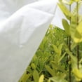 thumbnail image 5 of Garden Fabric Plant Cover Outdoor Frost Protection Blanket for Winter Frost Cold, 5 of 5