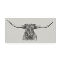 Trademark Fine Art 'Longhorn Bull' Canvas Art by Ethan Harper