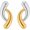 DuoDrop, variant on Mixed Metal Earrings for Women Two Tone Earrings Gold and Silver Hoop, Stainless Steel, Style H8977