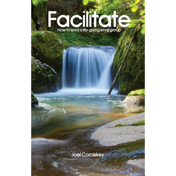 Facilitate: How to Lead a Life-giving Small Group, (Paperback)