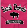 thumbnail image 2 of South Dakota Cute Bison Souvenir Plus Size Crewneck Graphic Tee Shirt Brisco Brands 2X, 2 of 5