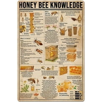Honey Bee Knowledge Metal Sign Bee'S Social Life Illustration Tin Poster Field Outdoor Home Kitchen Club Garage Wall Plaque 12x16 Inches