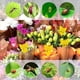 thumbnail image 5 of Paquete de 15 trampas para moscas de la fruta, mata mosquitos pegajoso de doble cara, atrapa insectos amarillo, mata insectos pegajoso para plantas de interior, 5 of 5
