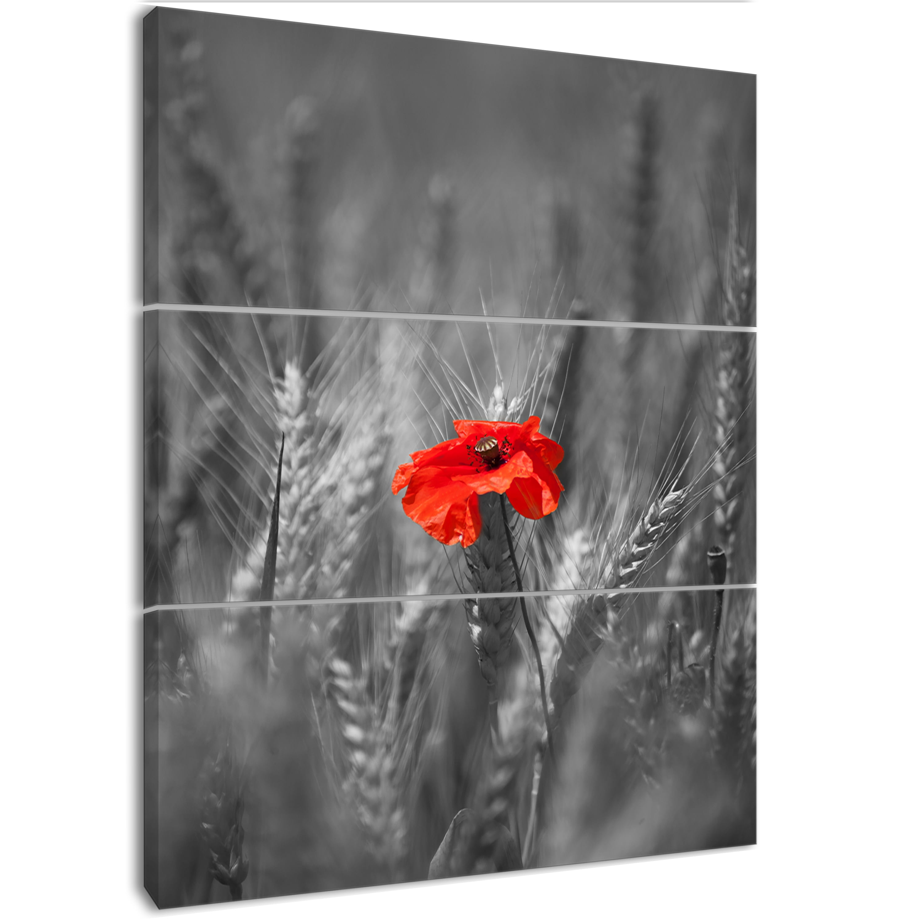 Designart 'Sigle Red Poppies ' Farmhouse Floral Photographic on Wrapped Canvas set