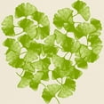 thumbnail image 3 of CafePress - Ginkgo Leaf Heart Light T Shirt - Light T-Shirt - CP, 3 of 4