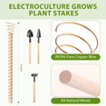 8 Pack Electroculture Garden Plant Stakes,12inches 99.9 Pure Copper