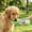 106#Green, variant on Portable Pet Drinking Cup for Outdoor Use, Combines Small Water Cup and Food Cup, Leak Proof Portable Hydration Feeder, Convenient Travel Hiking Walking Accessory for Dogs Cats Pets