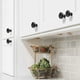 thumbnail image 2 of 20pcs Door Knobs Drawer Knobs 30mm Vintage Handles Furniture Cabinet Knobs (black), 2 of 5