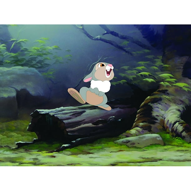 Walt Disney Pictures - Bambi (DVD) Animation - Walmart.com